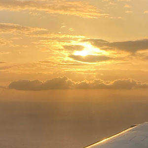 Meet your Posher, Nicholas